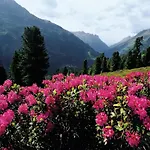 In Near Soelden *