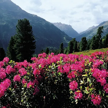 In Near Soelden *