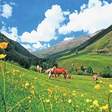 In Near Soelden * Längenfeld